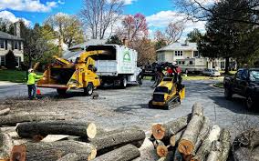 Best Emergency Tree Removal  in Sauk City, WI